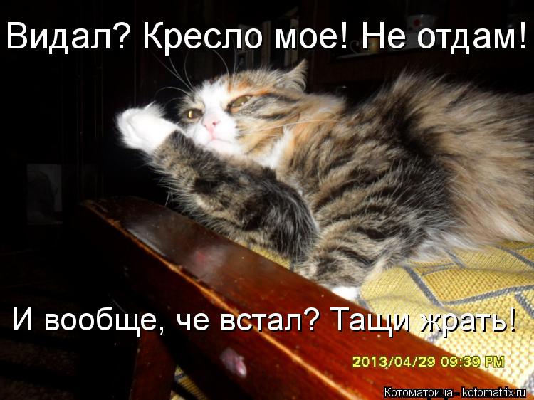 Видал? Кресло мое! Не отдам! И вообще, че встал? Тащи жрать!... Котоматрица: Видал? Кресло мое! Не отдам! И вообще, че встал? Тащи жрать!