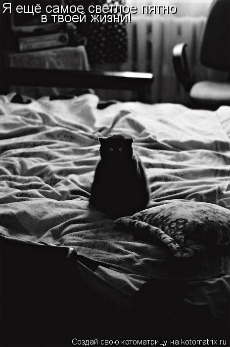 Я ещё самое светлое пятно в твоей жизни!... Котоматрица: Я ещё самое светлое пятно в твоей жизни!
