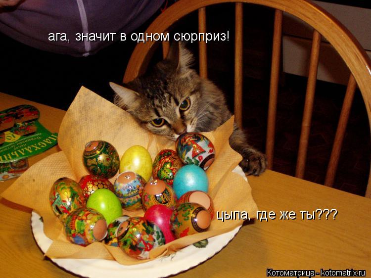 Котоматрица: ага, значит в одном сюрприз! цыпа, где же ты??? ага, значит в одном сюрприз!