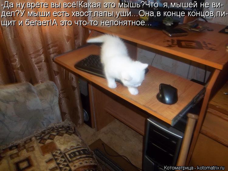 -Да ну,врёте вы всё!Какая это мышь?Что я,мышей не ви- дел?У мыши есть хвост,лапы,уши...Она,в конце к... Котоматрица: -Да ну,врёте вы всё!Какая это мышь?Что я,мышей не ви- дел?У мыши есть хвост,лапы,уши...Она,в конце концов,пи- щит и бегает!А это что-то непонятно
