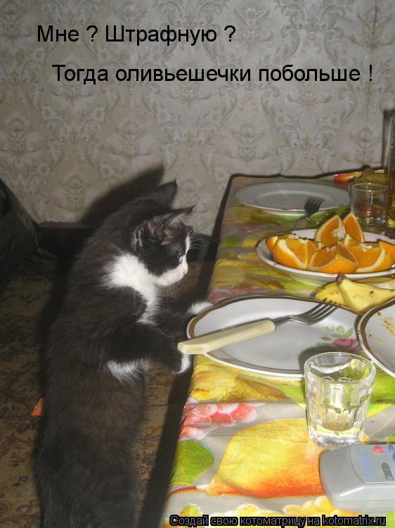 Котоматрица: Мне ? Штрафную ? Тогда оливьешечки побольше !