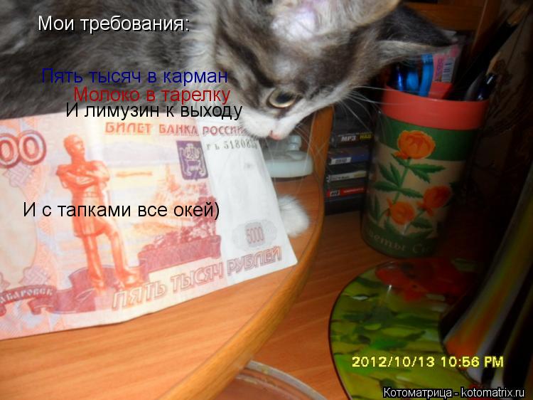 Мои требования: Пять тысяч в карман Молоко в тарелку И лимузин к выходу И с тапками все окей)... Котоматрица: Мои требования: Пять тысяч в карман Молоко в тарелку И лимузин к выходу И с тапками все окей)