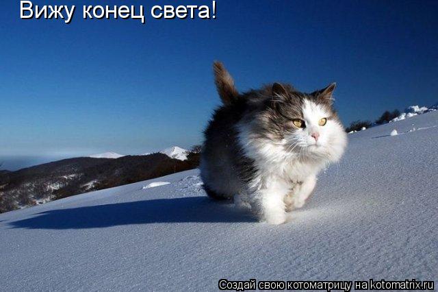 Вижу конец света!... Котоматрица: Вижу конец света!