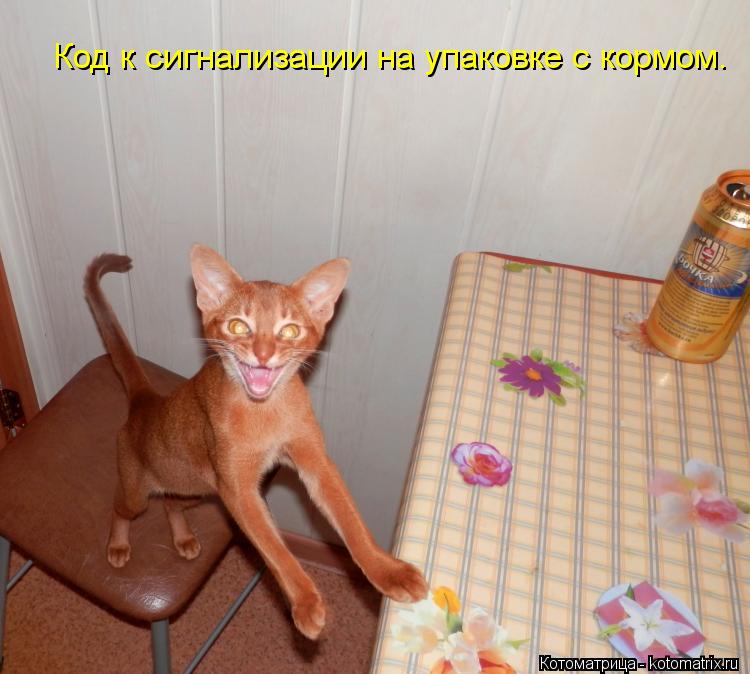 Код к сигнализации на упаковке с кормом.... Котоматрица: Код к сигнализации на упаковке с кормом.