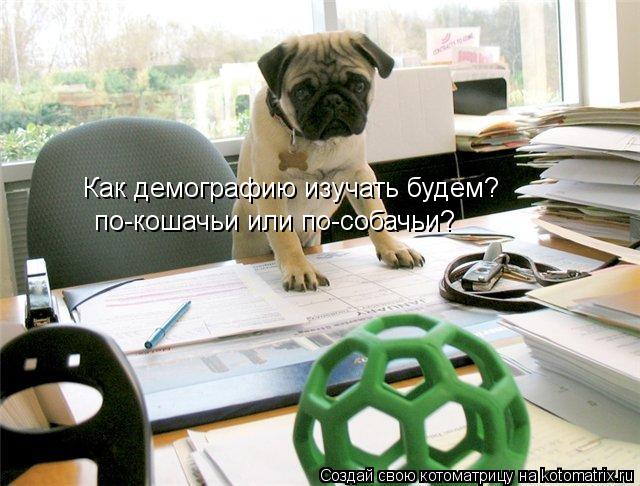 Как демографию изучать будем? по-кошачьи или по-собачьи?... Котоматрица: Как демографию изучать будем? по-кошачьи или по-собачьи?