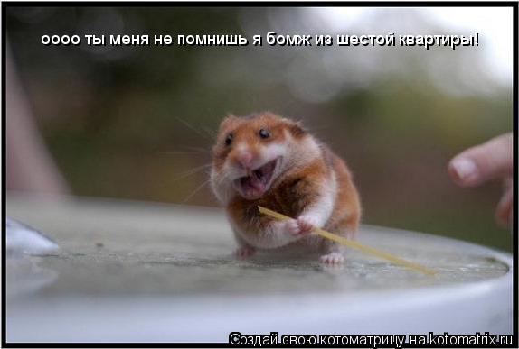 оооо ты меня не помнишь я бомж из шестой квартиры!... Котоматрица: оооо ты меня не помнишь я бомж из шестой квартиры!