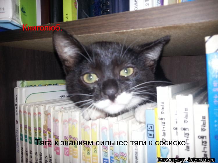 Книголюб. Тяга к знаниям сильнее тяги к сосиске... Котоматрица: Книголюб. Тяга к знаниям сильнее тяги к сосиске