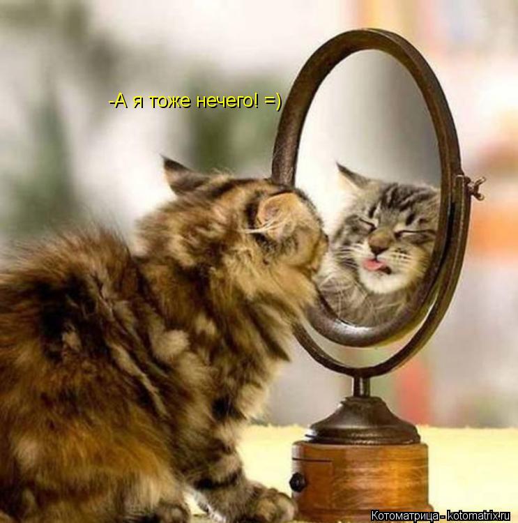 -А я тоже нечего! =)... Котоматрица: -А я тоже нечего! =)