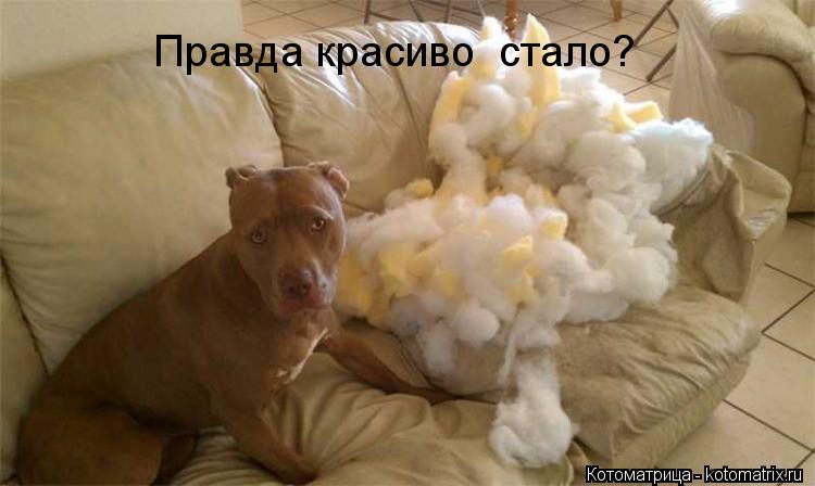 Правда красиво стало?... Котоматрица: Правда красиво стало?