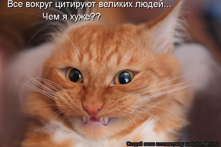 Все вокруг цитируют великих людей... Чем я хуже??... Котоматрица: Все вокруг цитируют великих людей... Чем я хуже??