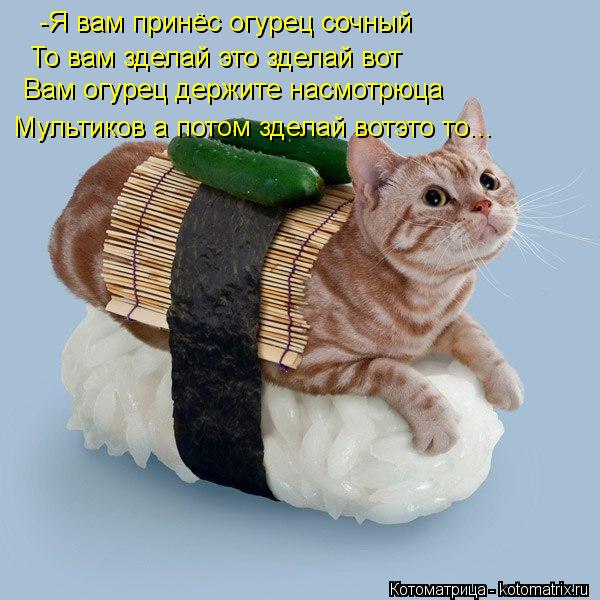-Я вам принёс огурец сочный То вам зделай это зделай вот Вам огурец держите насмотрюца Мультиков а по... Котоматрица: -Я вам принёс огурец сочный То вам зделай это зделай вот Вам огурец держите насмотрюца Мультиков а потом зделай вотэто то...
