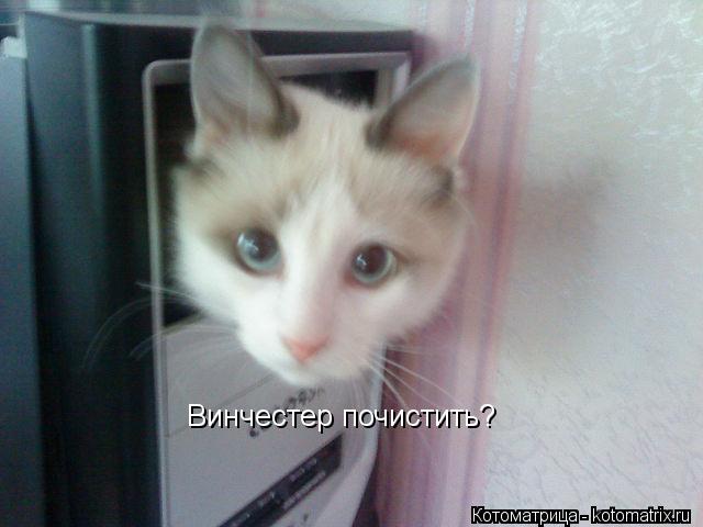 Винчестер почистить?... Котоматрица: Винчестер почистить?