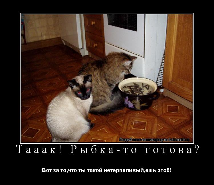 Котоматрица: Тааак! Рыбка-то готова? Вот за то,что ты такой нетерпеливый,ешь это!!! 