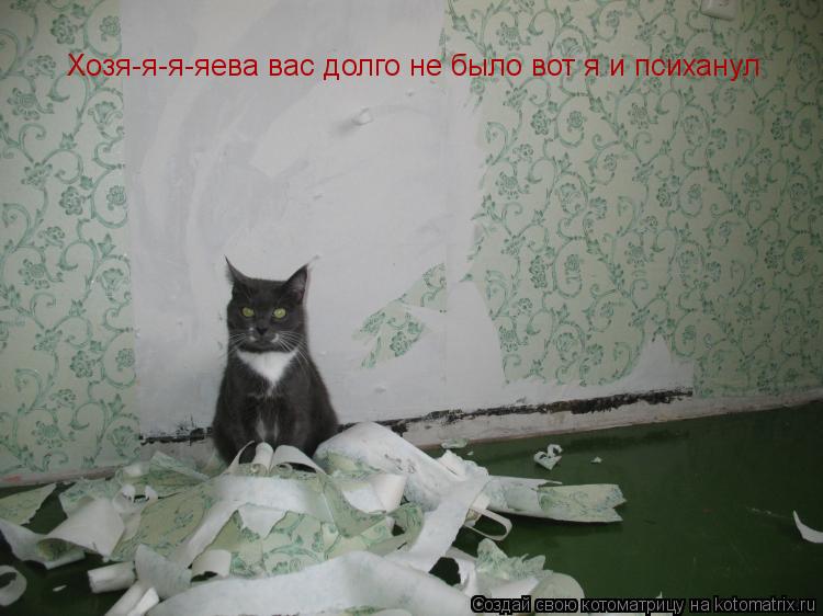 Хозя-я-я-яева вас долго не было вот я и психанул... Котоматрица: Хозя-я-я-яева вас долго не было вот я и психанул