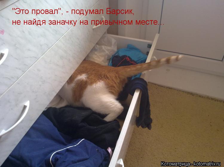не найдя заначку на привычном месте... "Это провал", - подумал Барсик,... Котоматрица: не найдя заначку на привычном месте... "Это провал", - подумал Барсик,