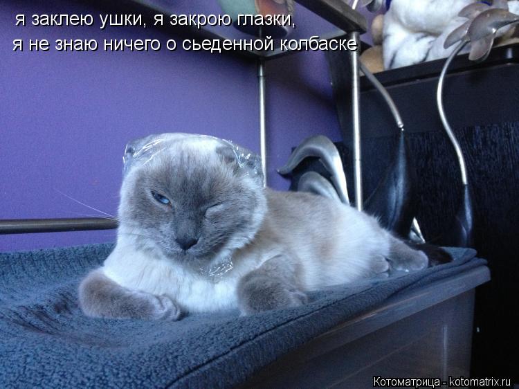 я заклею ушки, я закрою глазки, я не знаю ничего о сьеденной колбаске... Котоматрица: я заклею ушки, я закрою глазки, я не знаю ничего о сьеденной колбаске