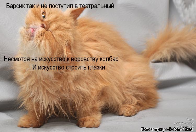 Барсик так и не поступил в театральный Несмотря на искусство к воровству колбас И искусство строить... Котоматрица: Барсик так и не поступил в театральный Несмотря на искусство к воровству колбас И искусство строить глазки