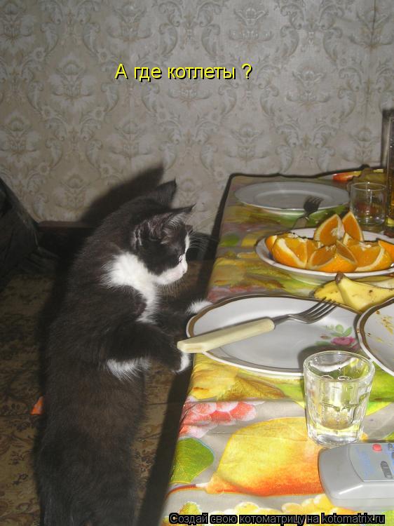 А где котлеты ?... Котоматрица: А где котлеты ?