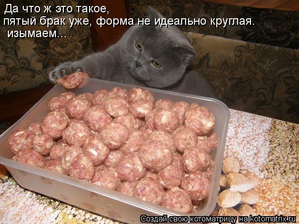 Да что ж это такое, пятый брак уже, форма не идеально круглая. изымаем...... Котоматрица: Да что ж это такое, пятый брак уже, форма не идеально круглая. изымаем...