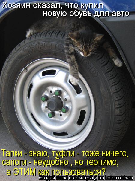 Хозяин сказал, что купил новую обувь для авто Тапки - знаю, туфли - тоже ничего, сапоги - неудобно ... Котоматрица: Хозяин сказал, что купил новую обувь для авто Тапки - знаю, туфли - тоже ничего, сапоги - неудобно , но терпимо, а ЭТИМ как пользоваться?