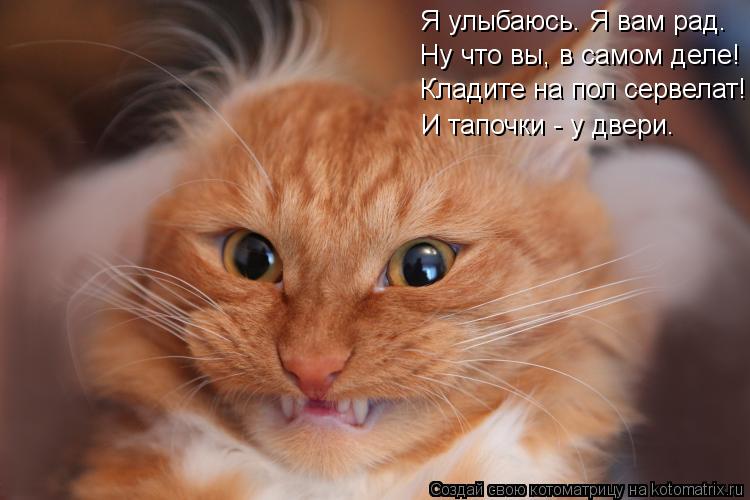Кладите на пол сервелат! Ну что вы, в самом деле! Я улыбаюсь. Я вам рад. И тапочки - у двери.... Котоматрица: Кладите на пол сервелат! Ну что вы, в самом деле! Я улыбаюсь. Я вам рад. И тапочки - у двери.
