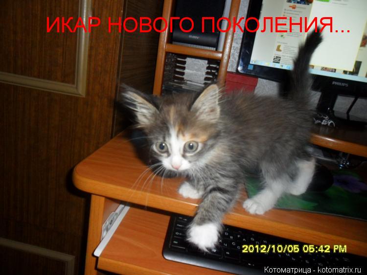 ИКАР НОВОГО ПОКОЛЕНИЯ...... Котоматрица: ИКАР НОВОГО ПОКОЛЕНИЯ...