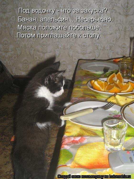 Под водочку - что за закуска? Банан, апельсин... Несерьезно. Мяска положите побольше, Потом приглашай... Котоматрица: Под водочку - что за закуска? Банан, апельсин... Несерьезно. Мяска положите побольше, Потом приглашайте к столу.