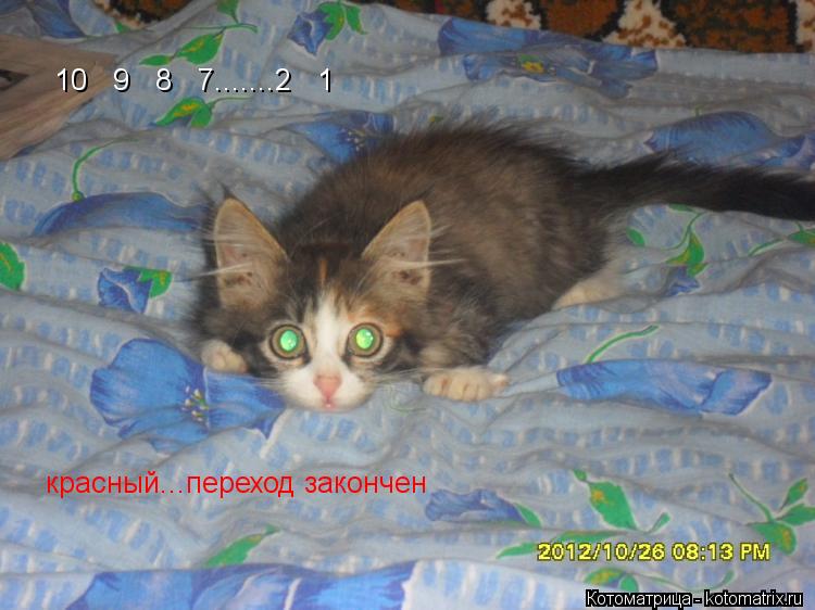 10 9 8 7.......2 1 красный...переход закончен... Котоматрица: 10 9 8 7.......2 1 красный...переход закончен