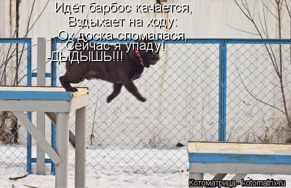 Вздыхает на ходу: Идёт барбос качается, -Ох доска сломалася, Сейчас я упаду! -ДЫДЫШЬ!!!... Котоматрица: Вздыхает на ходу: Идёт барбос качается, -Ох доска сломалася, Сейчас я упаду! -ДЫДЫШЬ!!!