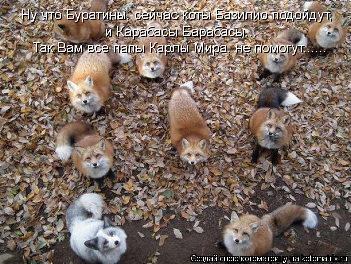 Ну что Буратины, сейчас коты Базилио подойдут, и Карабасы Барабасы... Так Вам все папы Карлы Мира, не... Котоматрица: Ну что Буратины, сейчас коты Базилио подойдут, и Карабасы Барабасы... Так Вам все папы Карлы Мира, не помогут......