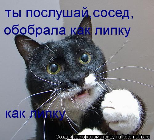 ты послушай,сосед, обобрала как липку как липку... Котоматрица: ты послушай,сосед, обобрала как липку как липку