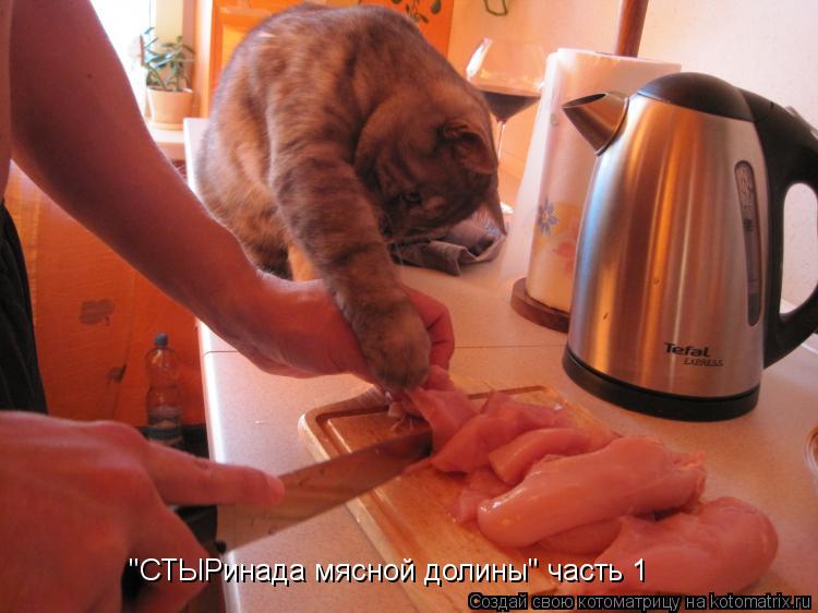"СТЫРинада мясной долины" часть 1... Котоматрица: "СТЫРинада мясной долины" часть 1