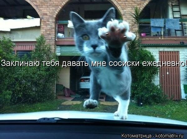 - - - Заклинаю тебя давать мне сосиски ежедневно!... Котоматрица: - - - Заклинаю тебя давать мне сосиски ежедневно!