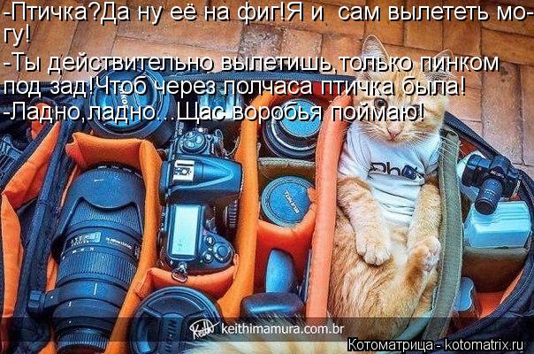 -Птичка?Да ну её на фиг!Я и сам вылететь мо- гу! -Ты действительно вылетишь,только пинком под зад!Чт... Котоматрица: -Птичка?Да ну её на фиг!Я и сам вылететь мо- гу! -Ты действительно вылетишь,только пинком под зад!Чтоб через полчаса птичка была! -Ладно,ладно.