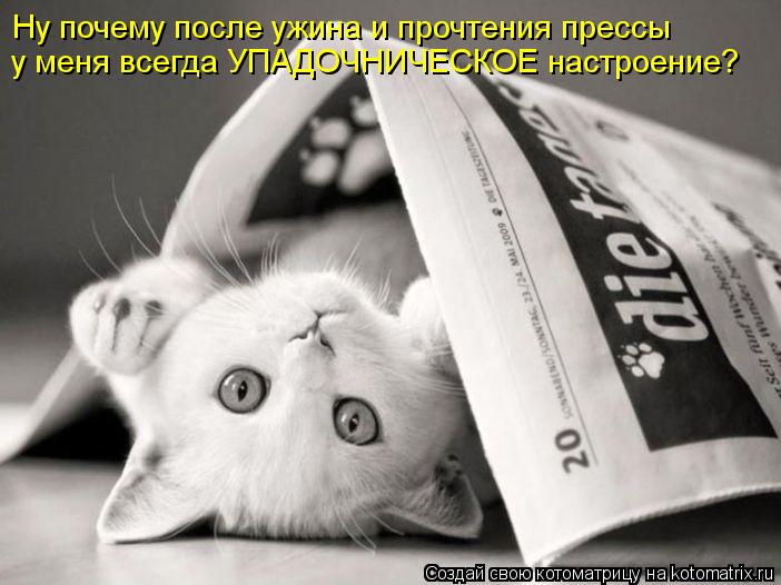 Ну почему после ужина и прочтения прессы у меня всегда УПАДОЧНИЧЕСКОЕ настроение?... Котоматрица: Ну почему после ужина и прочтения прессы у меня всегда УПАДОЧНИЧЕСКОЕ настроение?