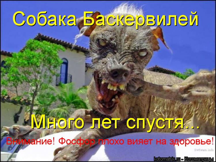 Собака Баскервилей Много лет спустя... Внимание! Фосфор плохо вияет на здоровье!... Котоматрица: Собака Баскервилей Много лет спустя... Внимание! Фосфор плохо вияет на здоровье!