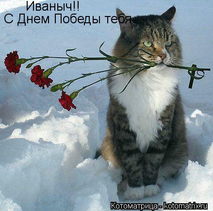 Иваныч!! С Днем Победы тебя... Котоматрица: Иваныч!! С Днем Победы тебя