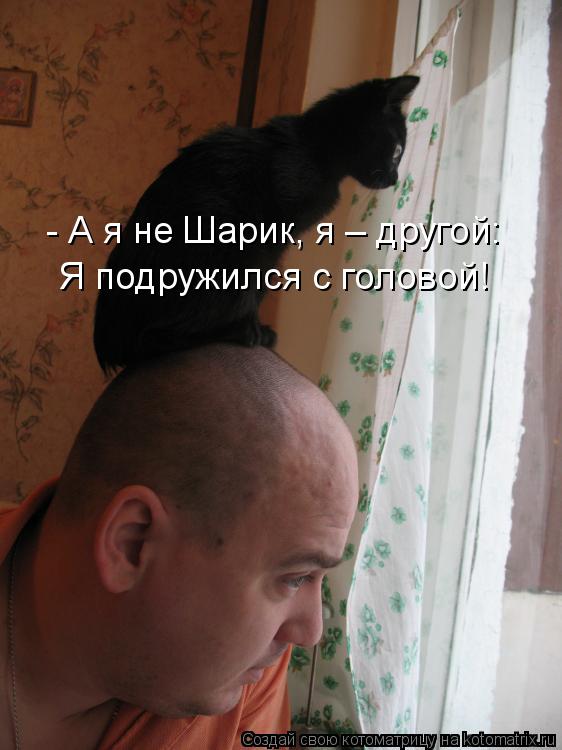 - А я не Шарик, я – другой: Я подружился с головой!... Котоматрица: - А я не Шарик, я – другой: Я подружился с головой!