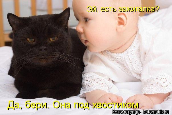 Эй, есть зажигалка? Да, бери. Она под хвостиком... Котоматрица: Эй, есть зажигалка? Да, бери. Она под хвостиком