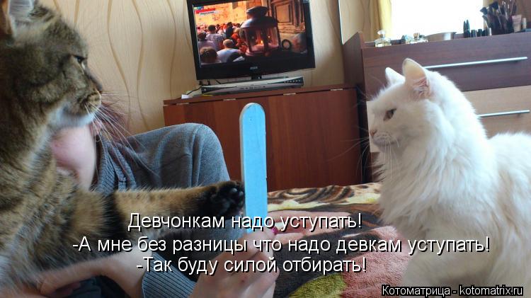 -А мне без разницы что надо девкам уступать! -Так буду силой отбирать! Девчонкам надо уступать!... Котоматрица: -А мне без разницы что надо девкам уступать! -Так буду силой отбирать! Девчонкам надо уступать!