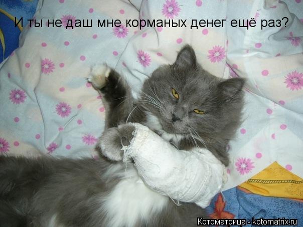 И ты не даш мне корманых денег ещё раз?... Котоматрица: И ты не даш мне корманых денег ещё раз?