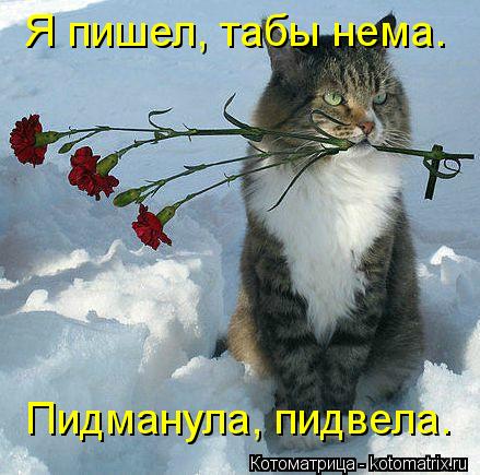 Я пишел, табы нема. Пидманула, пидвела.... Котоматрица: Я пишел, табы нема. Пидманула, пидвела.
