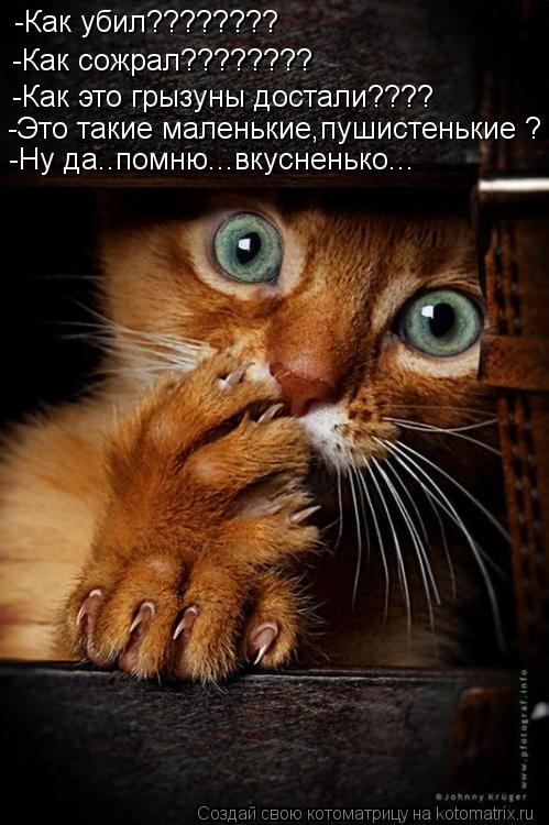 -Как убил???????? -Как сожрал???????? -Как это грызуны достали???? -Это такие маленькие,пушистенькие ... Котоматрица: -Как убил???????? -Как сожрал???????? -Как это грызуны достали???? -Это такие маленькие,пушистенькие ? -Ну да..помню...вкусненько...