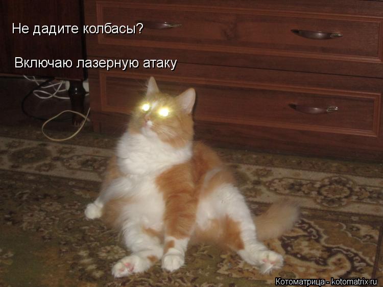 Включаю лазерную атаку Не дадите колбасы?... Котоматрица: Включаю лазерную атаку Не дадите колбасы?