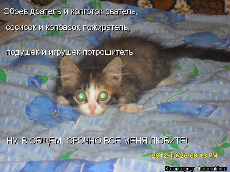 Обоев дратель и колготок рватель, сосисок и колбасок пожиратель, подушек и игрушек потрошитель, НУ,... Котоматрица: Обоев дратель и колготок рватель, сосисок и колбасок пожиратель, подушек и игрушек потрошитель, НУ, В ОБЩЕМ, СРОЧНО ВСЕ МЕНЯ ЛЮБИТЕ!