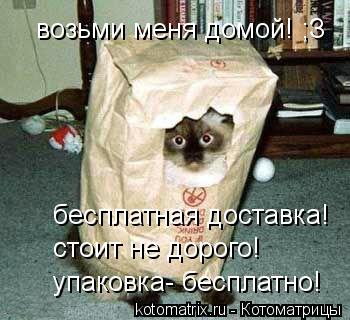 упаковка- бесплатно! стоит не дорого! бесплатная доставка! возьми меня домой! ;З... Котоматрица: упаковка- бесплатно! стоит не дорого! бесплатная доставка! возьми меня домой! ;З