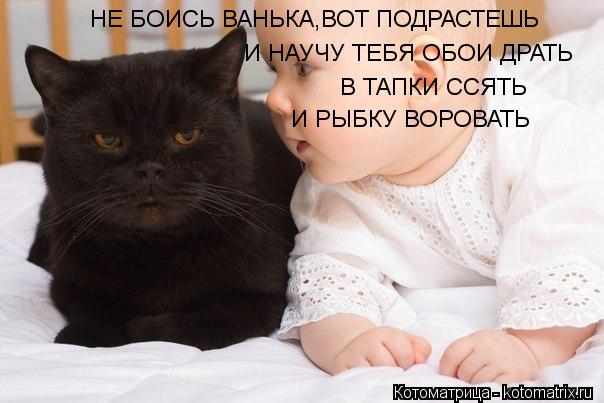 НЕ БОИСЬ ВАНЬКА,ВОТ ПОДРАСТЕШЬ И НАУЧУ ТЕБЯ ОБОИ ДРАТЬ В ТАПКИ ССЯТЬ И РЫБКУ ВОРОВАТЬ... Котоматрица: НЕ БОИСЬ ВАНЬКА,ВОТ ПОДРАСТЕШЬ И НАУЧУ ТЕБЯ ОБОИ ДРАТЬ В ТАПКИ ССЯТЬ И РЫБКУ ВОРОВАТЬ