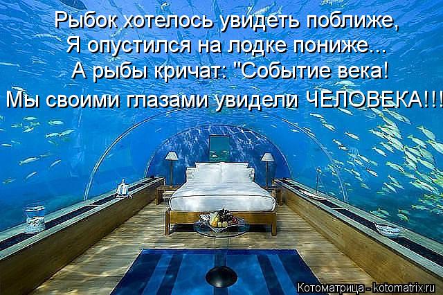 Рыбок хотелось увидеть поближе, Я опустился на лодке пониже... А рыбы кричат: "Событие века! Мы своим... Котоматрица: Рыбок хотелось увидеть поближе, Я опустился на лодке пониже... А рыбы кричат: "Событие века! Мы своими глазами увидели ЧЕЛОВЕКА!!!"