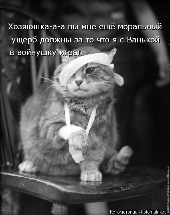 Хозяюшка-а-а вы мне ещё моральный ущерб должны за то что я с Ванькой в войнушку играл... Котоматрица: Хозяюшка-а-а вы мне ещё моральный ущерб должны за то что я с Ванькой в войнушку играл