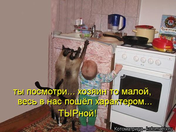 ты посмотри... хозяин то малой, весь в нас пошёл характером... ТЫРной!... Котоматрица: ты посмотри... хозяин то малой, весь в нас пошёл характером... ТЫРной!